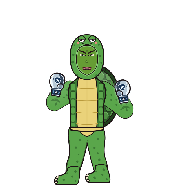 Franklin theTurtle portrait