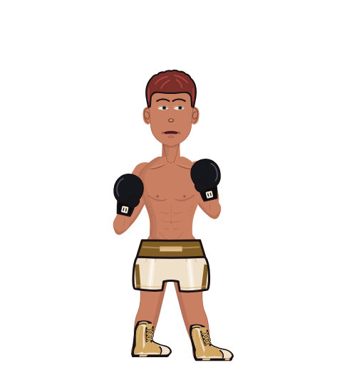 Atom, level 26 boxer. Record: 17 wins, 2 losses, 0 draws. Hands: Classic.