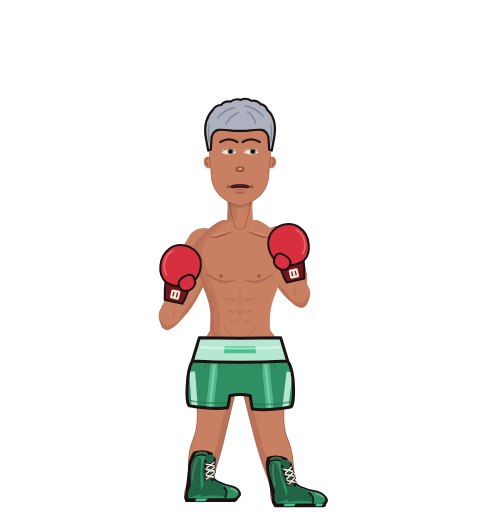 ESEM, level 26 boxer. Record: 5 wins, 6 losses, 0 draws. Hands: Classic.
