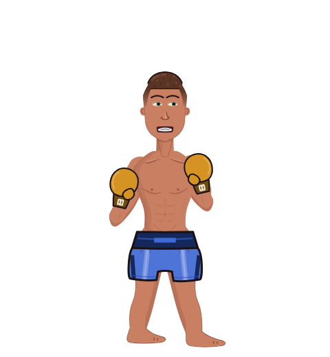 TkKhj, level 2 boxer. Record: 2 wins, 2 losses, 0 draws. Hands: Classic.