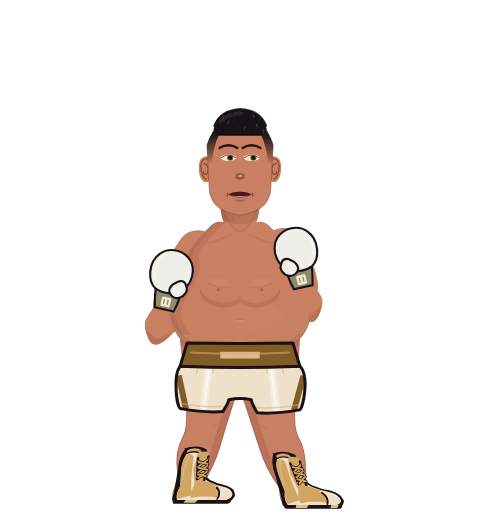 FearlessPanda, level 1 boxer. Record: 0 wins, 0 losses, 0 draws. Hands: Classic.
