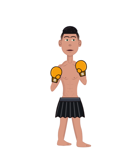 mrboxer, level 1 boxer. Record: 0 wins, 0 losses, 0 draws. Hands: Classic.