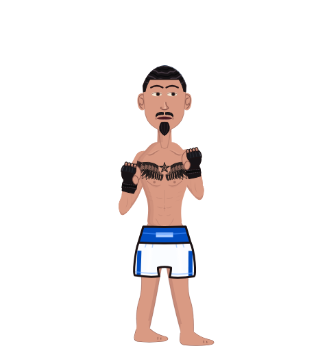 Max Holloway, level 49 boxer. Record: 27 wins, 4 losses, 0 draws. Hands: MMA gloves.