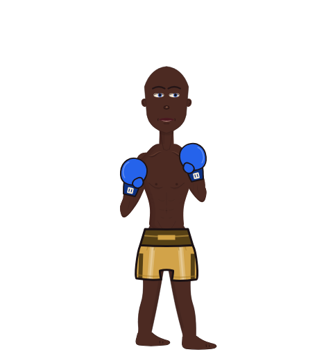 For Tessa, level 2 boxer. Record: 4 wins, 0 losses, 0 draws. Hands: Classic.