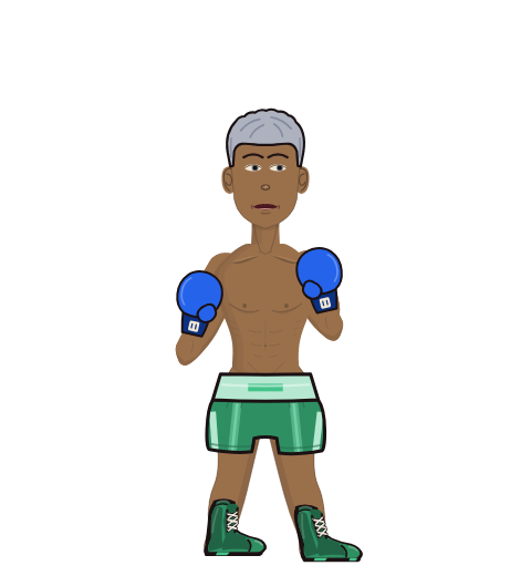 Miyami Boxer, level 1 boxer. Record: 0 wins, 0 losses, 0 draws. Hands: Classic.